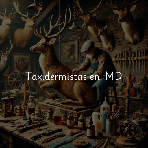 Taxidermistas en los Estados Unidos MD