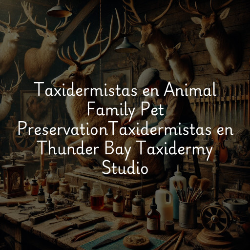 Taxidermistas en