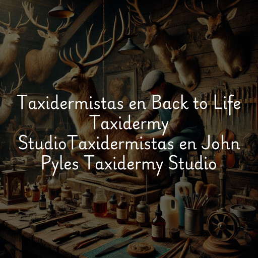 Taxidermistas en