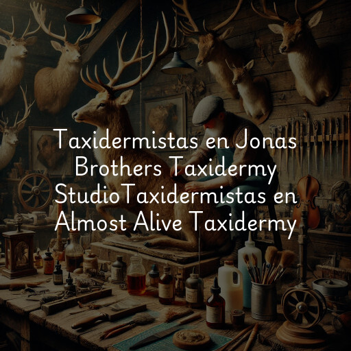 Taxidermistas en