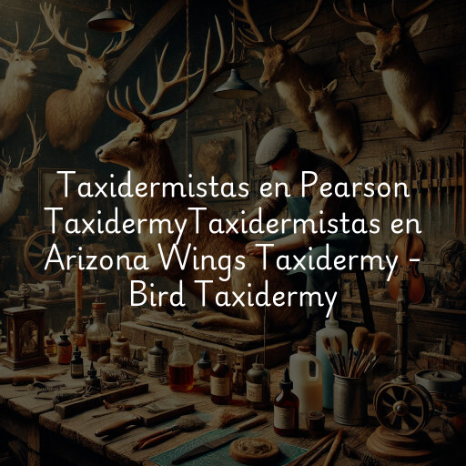 Taxidermistas en