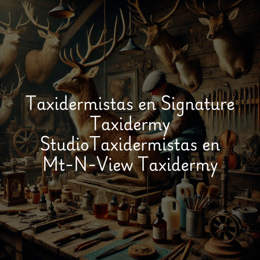 Taxidermistas en