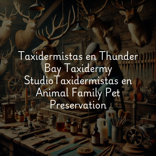 Taxidermistas en