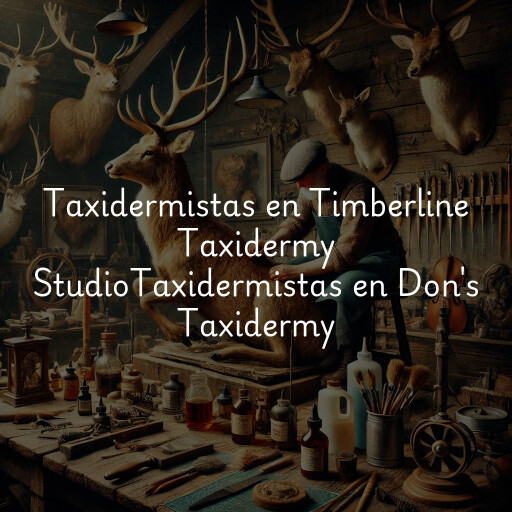 Taxidermistas en