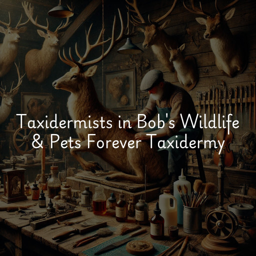 Taxidermists Bob's Wildlife & Pets Forever Taxidermy